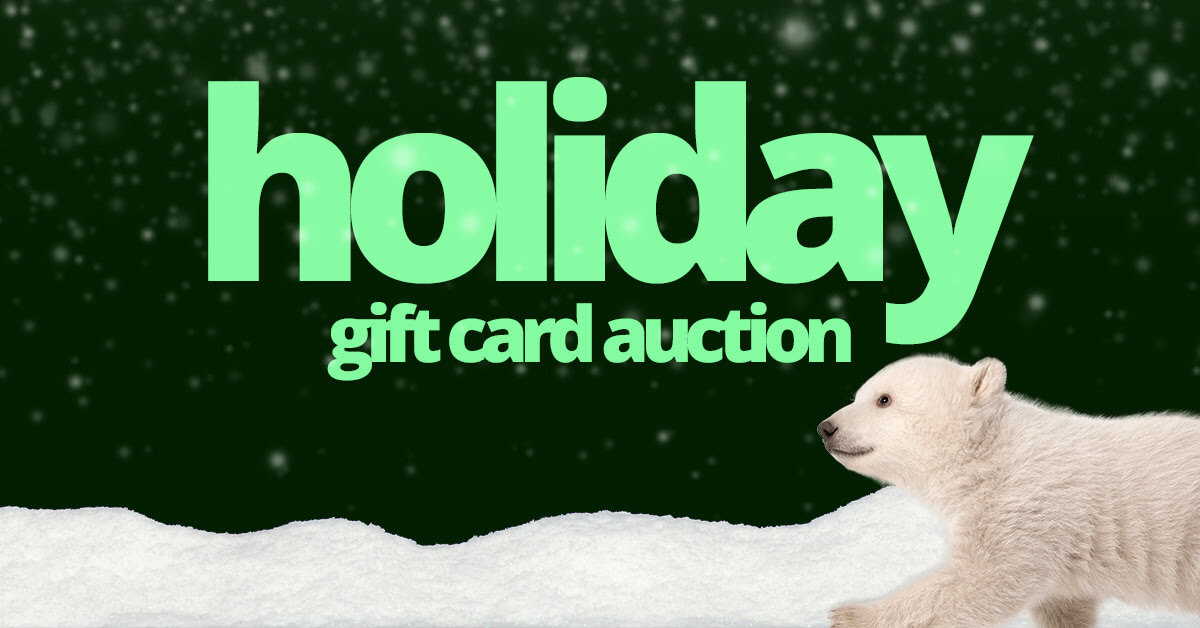 Holiday gift card auction