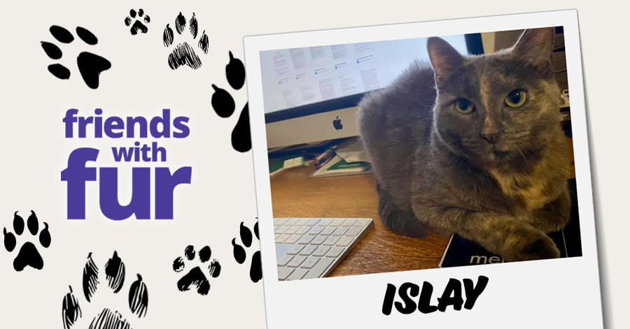 Friends with Fur: Islay the cat