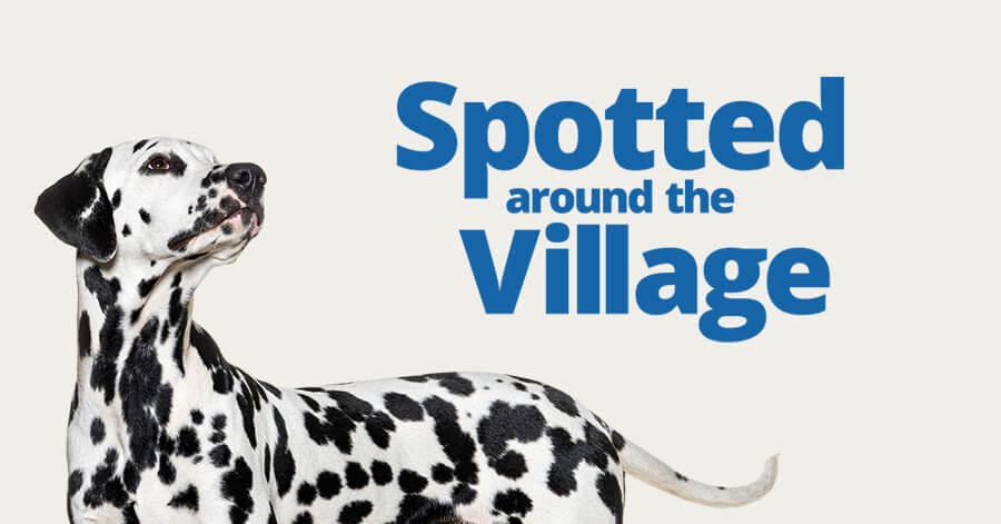 Spotted around the Village