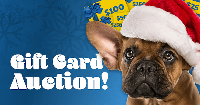 Gift card auction!