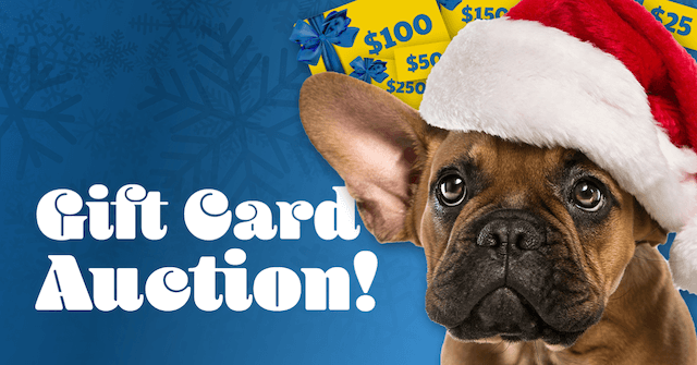 Gift Card Auction!