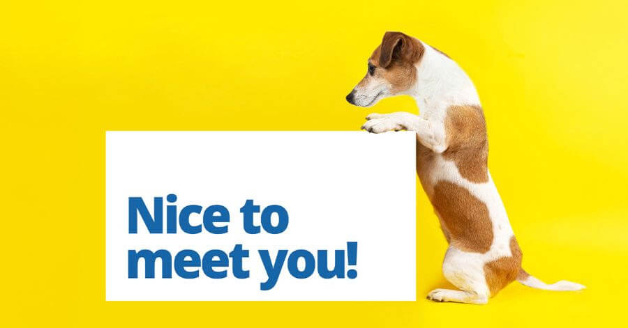 Nice to meet you!